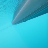 �������Х���å��ĥ����٤β���