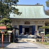 『19日目　2025年3月23日（日）晴れ』の画像