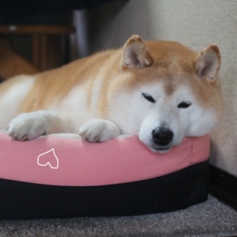 兄さん？爺さん？？