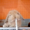 勢い良く飲んでほしい