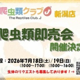 『爬虫類即売会あと5日!!』の画像