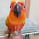 水浴びするとちょっとぶちゃいくになる