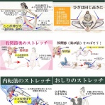 きんにく様の言うとおり