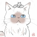 シュシュ