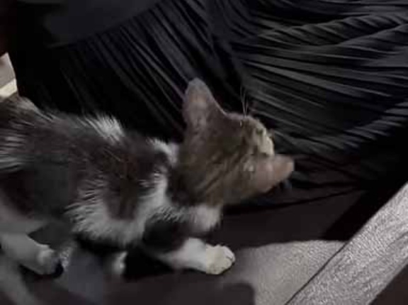 彼が邪魔なので膝の上からどかしてみた。ここは俺のモノだ！ → こうなった…