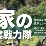高嶋舞の子育てと中小企業のイノベーションと。【子どもや企業、人の魅力を引き出す】