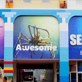 我が家の小さな水族館