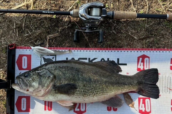 Lure Shop O'z Blog - 釣果情報