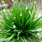 お星様のなんでも探検