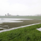 『雨が本降りになりました』の画像