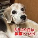 ケイナ単独の舞い