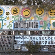 2026年由仁町の花のまつうらさん情報