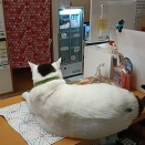 天候不順､カミナリ怖い