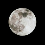 ブルーガーデンと花育て