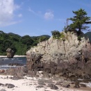 [動画] 丹後松島(平海岸周辺)