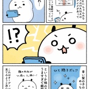 【エッセイ】数十年ぶりに推しができました