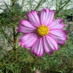 「いのち輝き塾」…人が輝く、企業が輝く、地球が輝く