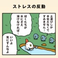ストレスの反動
