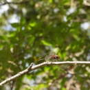 水曜日陶芸教室