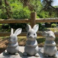夢を語ってますか？
