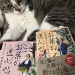 美しい歩き方と体質改善