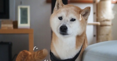 毎日すりすり♪