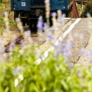 9月の川根路　サルビアと客車後姿