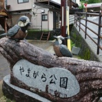 無手勝流～風の吹くままに～適当写真家 惟新斎ブログ～