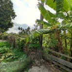 ハノイでまったり生きてます(ΦωΦ)