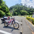 可睡斎ゆりの園へ