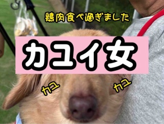 今日は何の日？