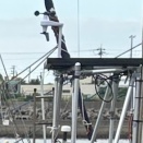 きらり２　風向風速計設置
