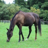 『天気予報』の画像