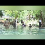 ウメボシ速報