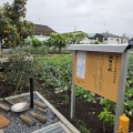 "調布の水" が調布ヶ丘に爆誕したそうなので見に行ってきた！