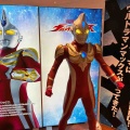 マックスとメビウス