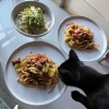 【ご飯&猫日記】糠漬けランチ・猫様と向き合う時間