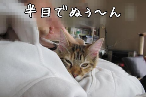 ぼく定春でぇ す O