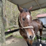 『ストレスが無いように』の画像