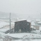 雪、雪、雪…