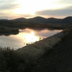 マラソンランナーの孤独