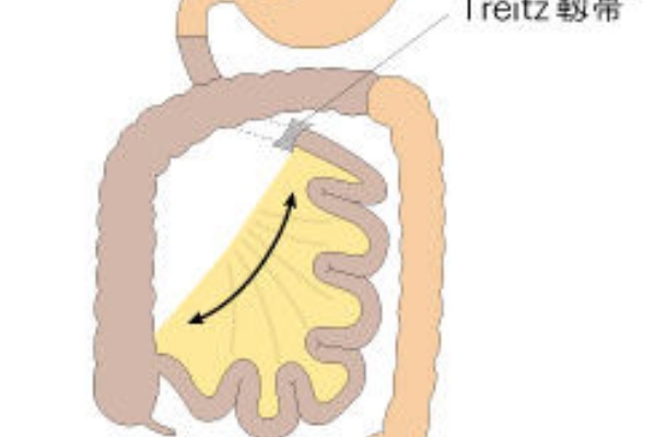 医師594ブログ 消化管