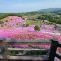 北海道に行ってきました