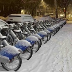 ニューヨーク最新情報。今日のNYを完全実況生中継でお伝えします!!!