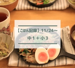ニトスキでビビンバ【ごはん記録11/24～】