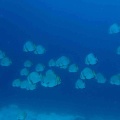 スペインの方が遊びに来てくださいました。どうやって調べてくれたんだろう？