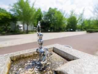 水道水飲んでる←これw