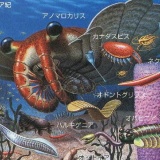 なんJカンブリア紀の生物大好き部