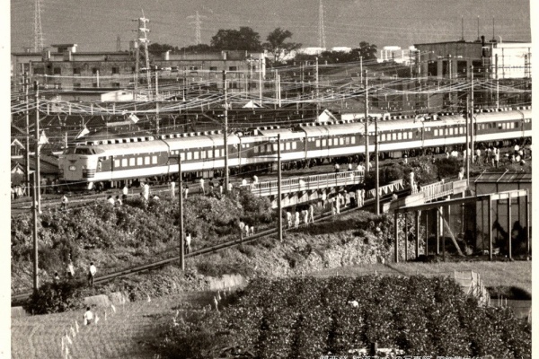昭和時代 関西地区の国鉄特急電車 集合写真 国鉄時代、関西地区各線を彩った湘南色、阪和色、関西色の113系。平成