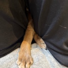 股をこじ開けて手が出てくる